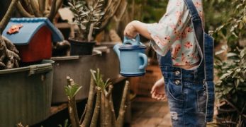 https://unsplash.com/photos/47whM1ZEvfU